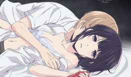 色情动漫,色情动漫的隐秘世界